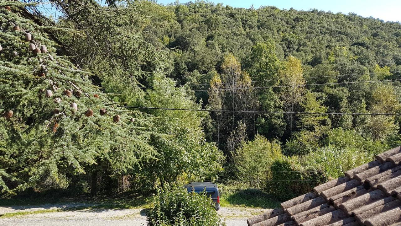 Le Clos Du Cedre Saint Sebastien d'Aigrefeuille Eksteriør bilde