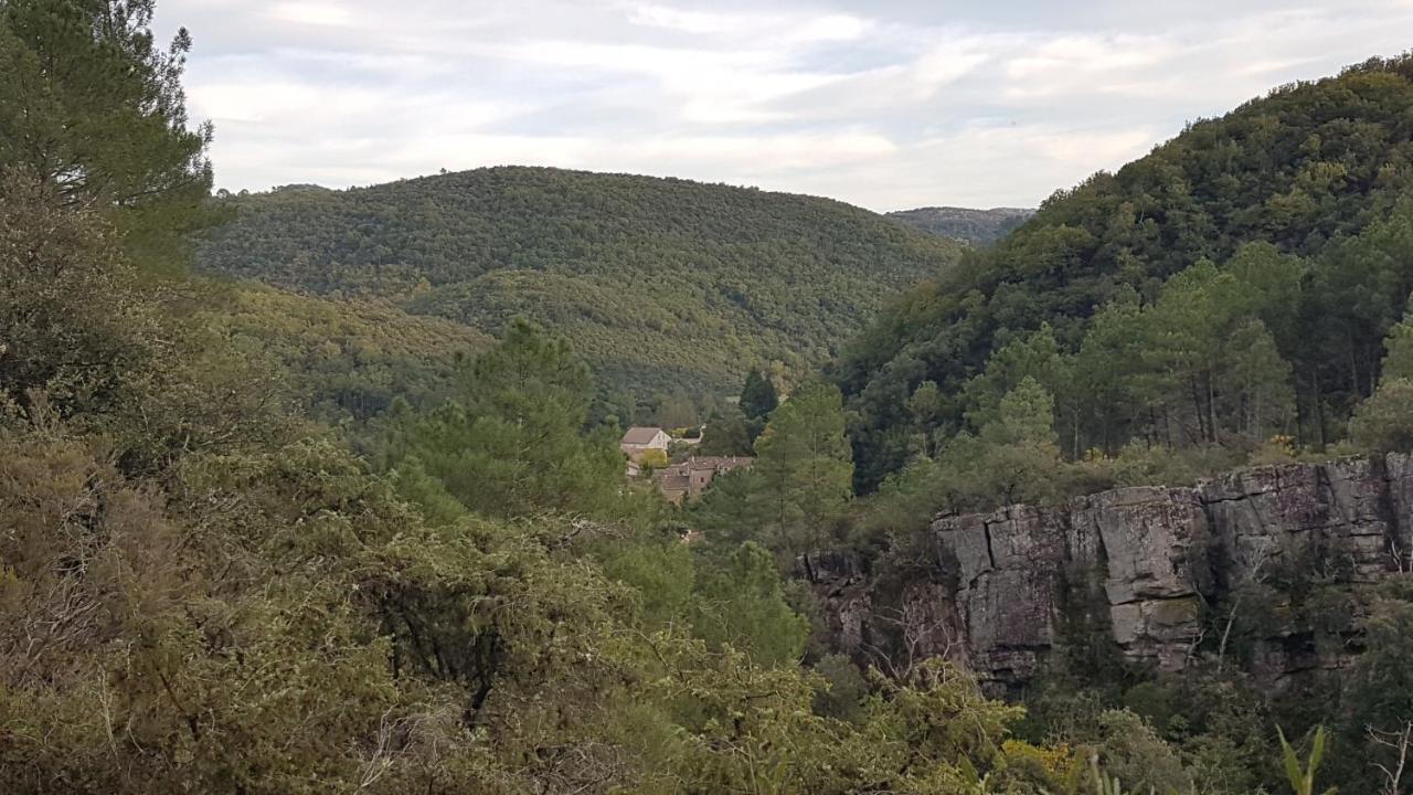 Le Clos Du Cedre Saint Sebastien d'Aigrefeuille Eksteriør bilde