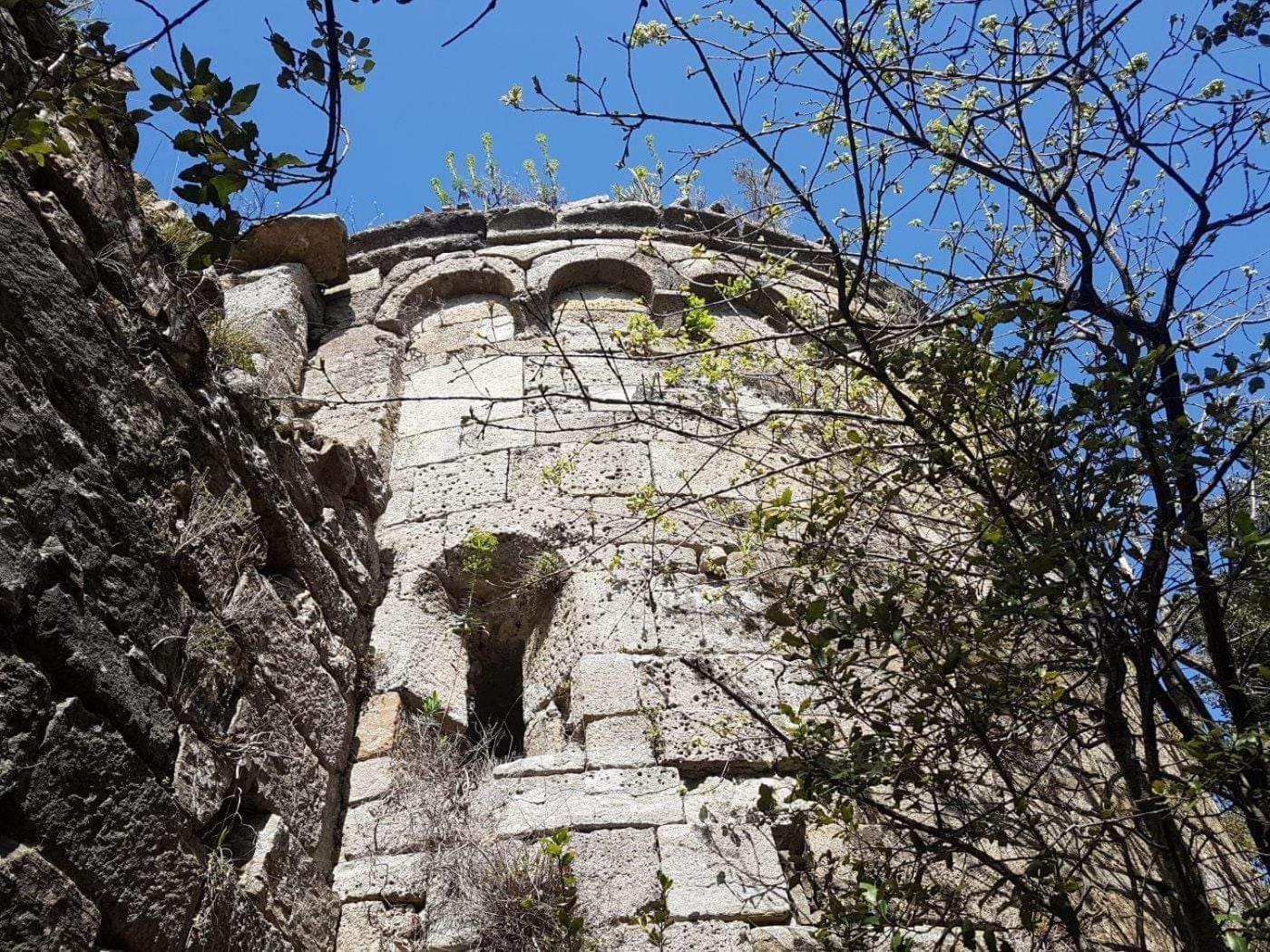 Le Clos Du Cedre Saint Sebastien d'Aigrefeuille Eksteriør bilde
